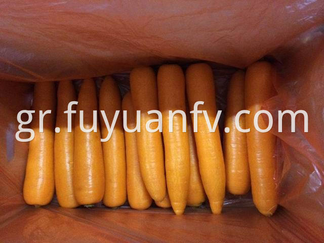 xiamen carrot 